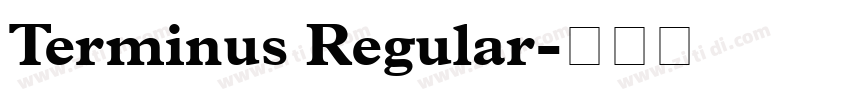 Terminus Regular字体转换